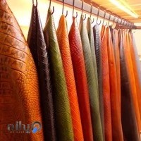 چرم فروشی پائولا