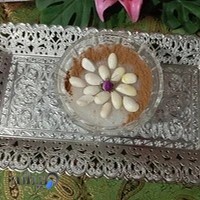 فست فود هایلا