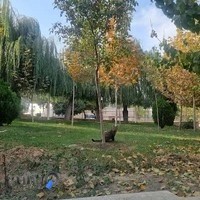 بوستان جهان