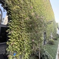 تعمیرگاه گیربکس اتوماتیک محمودی