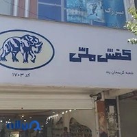 کفش ملی 1703