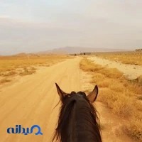 باشگاه سوارکاری نورانی