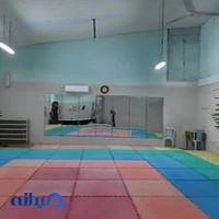 Bujinkan hyo dojo - ninjutsu ninja