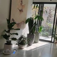 کلینیک خواب دکتر فریبا معینی پور