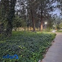 دانشگاه صنعتی شیراز