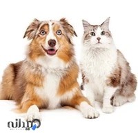 مجله دنیای حیوانات