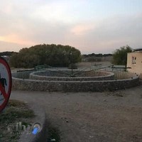 هیات سوارکاری استان تهران
