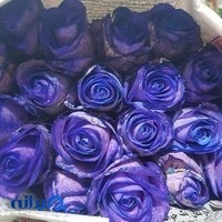 فروشگاه بزرگ زارع