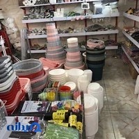 پلاسکو رنگارنگ