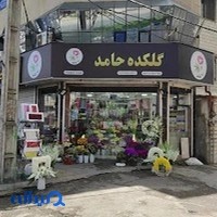گلکده حامد