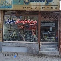 فروشگاه دوچرخه کوهستان مکبریان