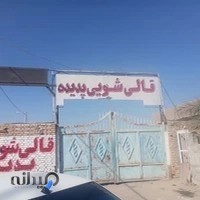 قالیشویی پدیده