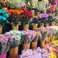 گلفروشی آقای گل