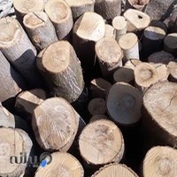 چوب فروشی و چوب بری محمدی