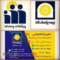 نماینده و مشاور بیمه پاسارگاد علیرضا شعبانی کد 63477