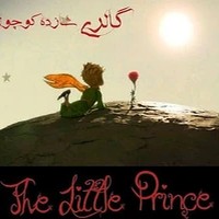مزون شازده کوچولو