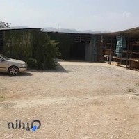 بازرگانی گلدن وود