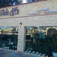 گل شانار