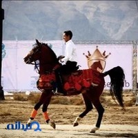 مجموعه گردشگري و باشگاه سواركاري سلطان
