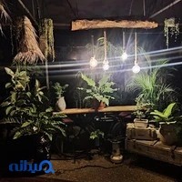 گل و کاکتوس شیراز(لاین گیاهان آپارتمانی) غرفه ۴و۵ اسلام پناه