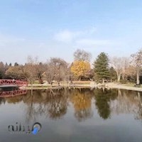 موزه گیاه شناسی