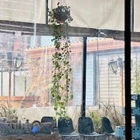قلیه سرای بوشهری