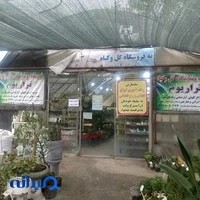 نمایشگاه و فروشگاه گل و گیاه تراریوم