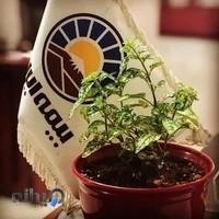 بیمه ایران نمایندگی 30019