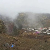 دکتر فريبا الماسی