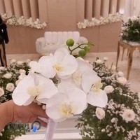 تشریفات مجالس هیراد