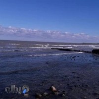 کافه عباس نظامی