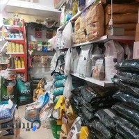 پت شاپ لاوینا