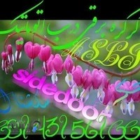 درب اتوماتیک کرکره برقی ساید در