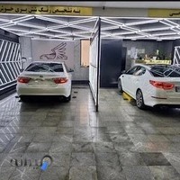 تشخیص رنگ شش پری