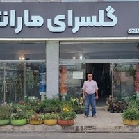 گلسرای مارانتا