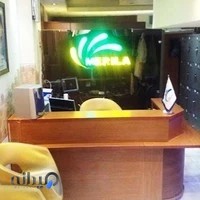 سالن زیبایی مریلا ( شعبه ۱ )