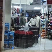 پت شاپ شیراز پت پارادایز