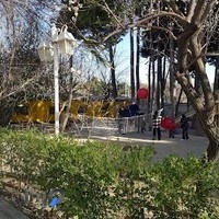 مجموعه حیاط