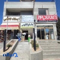 پلاسکو کاکتوس