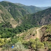 بیمه ایران نمایندگی خانم مسکین