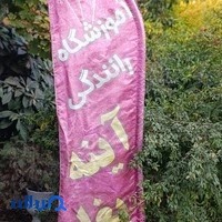 استودیو نارنج