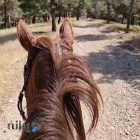مجموعه سواركاری كوثر
