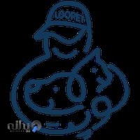 لوپت