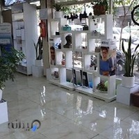 Negin Optics | عینک نگین