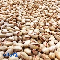 خشکبار بنفشه
