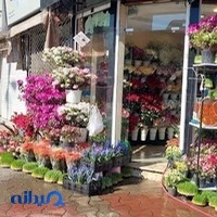 گل فروشی شکوفه سرا