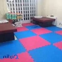 کاردرمانی و گفتاردرمانی فارس