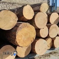 چوب فروشی و چوب بری ابوالفضل کرامت