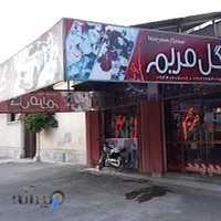 گل مریم