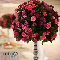 تشریفات مجلس ماندگار